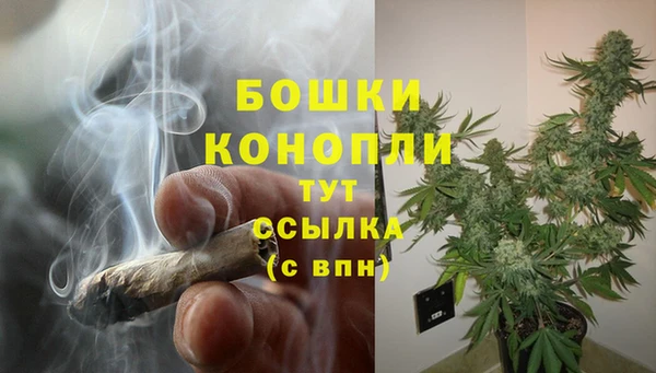 стаф Арсеньев