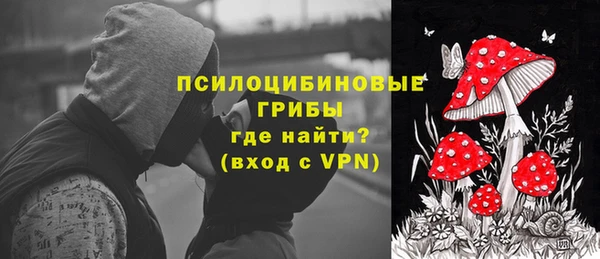 стаф Арсеньев