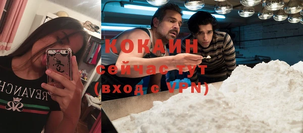 прущая мука Армянск