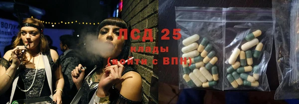 стаф Арсеньев
