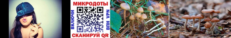 Псилоцибиновые грибы Cubensis  Артёмовск 